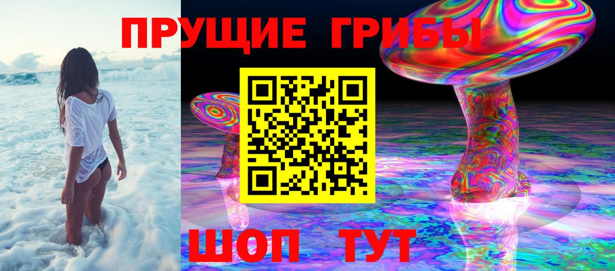 Псилоцибиновые грибы мицелий Рославль