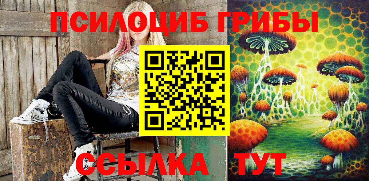 Галлюциногенные грибы GOLDEN TEACHER  Вход с VPN  Рославль 